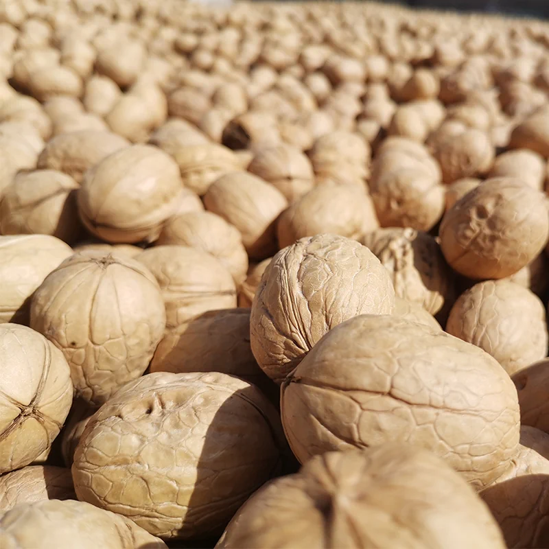 Premium Walnuts